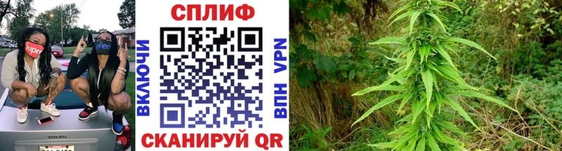 Наркота Почеп МАРИХУАНА  АМФ  МДМА  МЕФ  ГАШИШ 