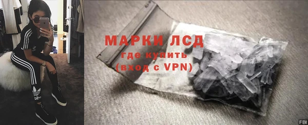 ПСИЛОЦИБИНОВЫЕ ГРИБЫ Няндома