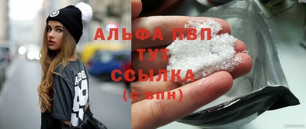 ПСИЛОЦИБИНОВЫЕ ГРИБЫ Няндома