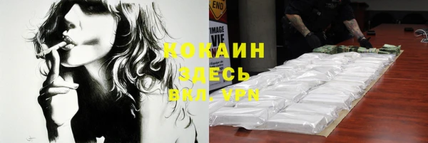 ПСИЛОЦИБИНОВЫЕ ГРИБЫ Няндома