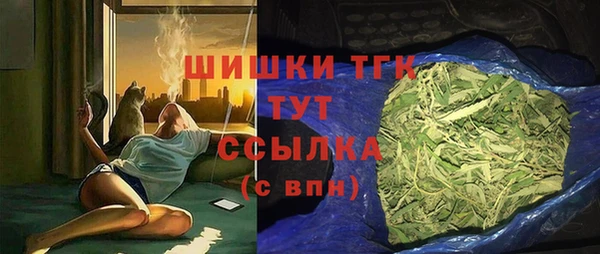 ПСИЛОЦИБИНОВЫЕ ГРИБЫ Няндома