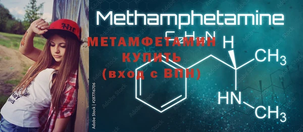 ПСИЛОЦИБИНОВЫЕ ГРИБЫ Няндома