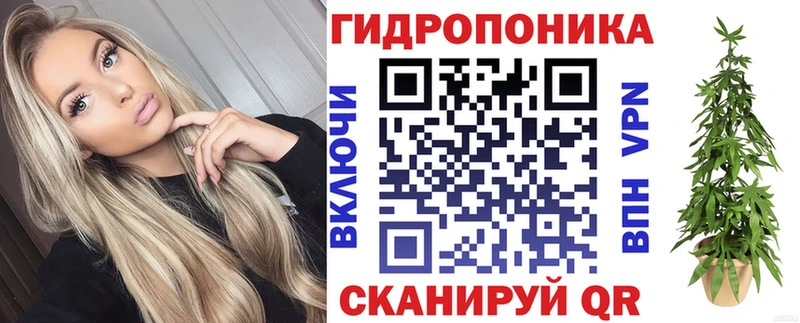 хочу OMG онион Конопля планчик Почеп